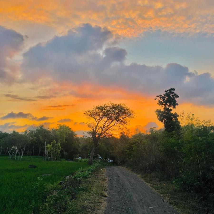 Tommy Homestay Plambi Bagian luar foto