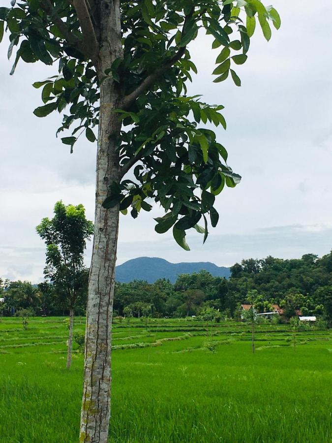Tommy Homestay Plambi Bagian luar foto