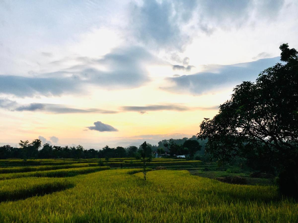 Tommy Homestay Plambi Bagian luar foto