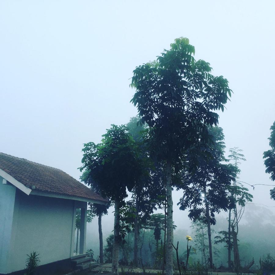 Tommy Homestay Plambi Bagian luar foto