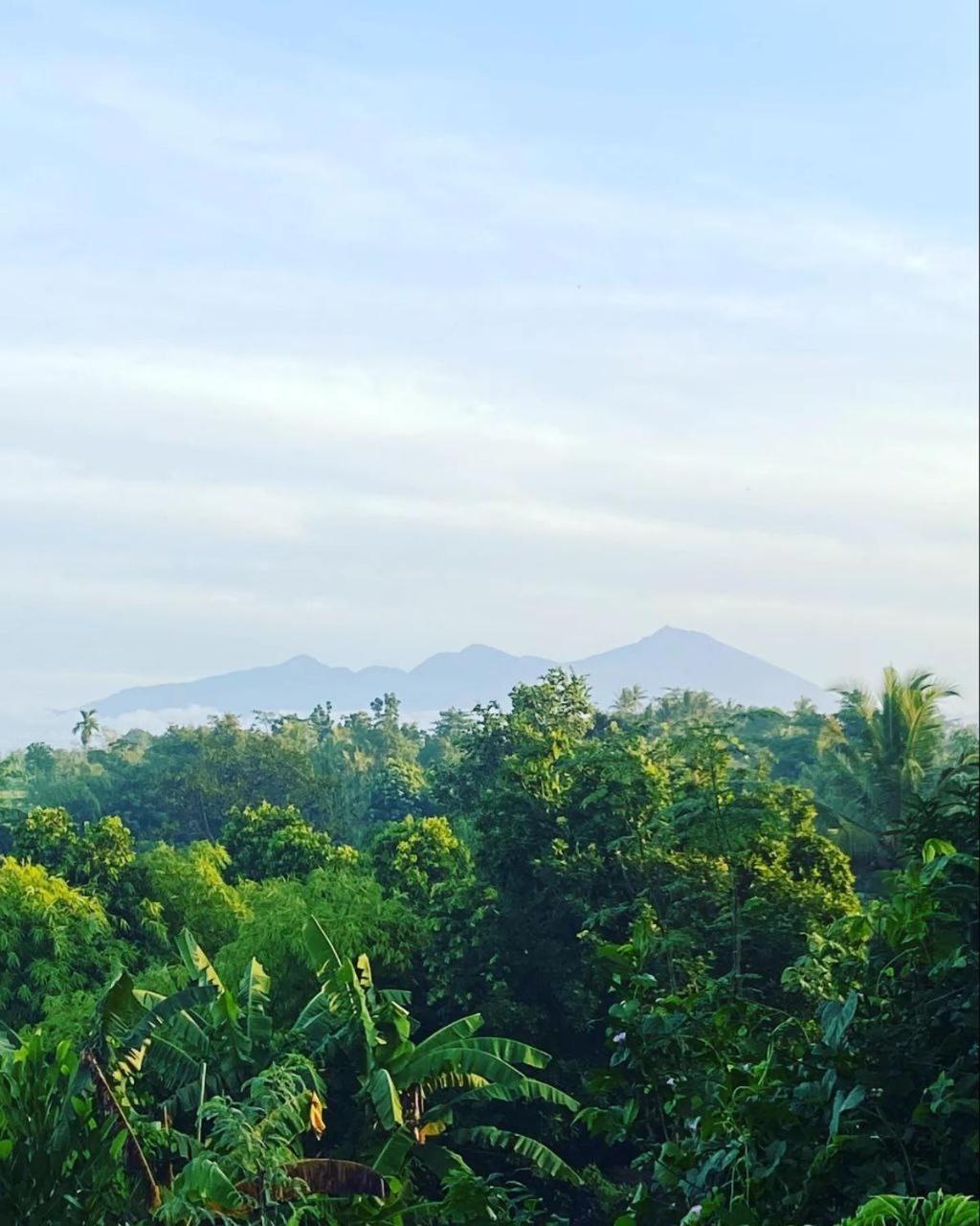 Tommy Homestay Plambi Bagian luar foto