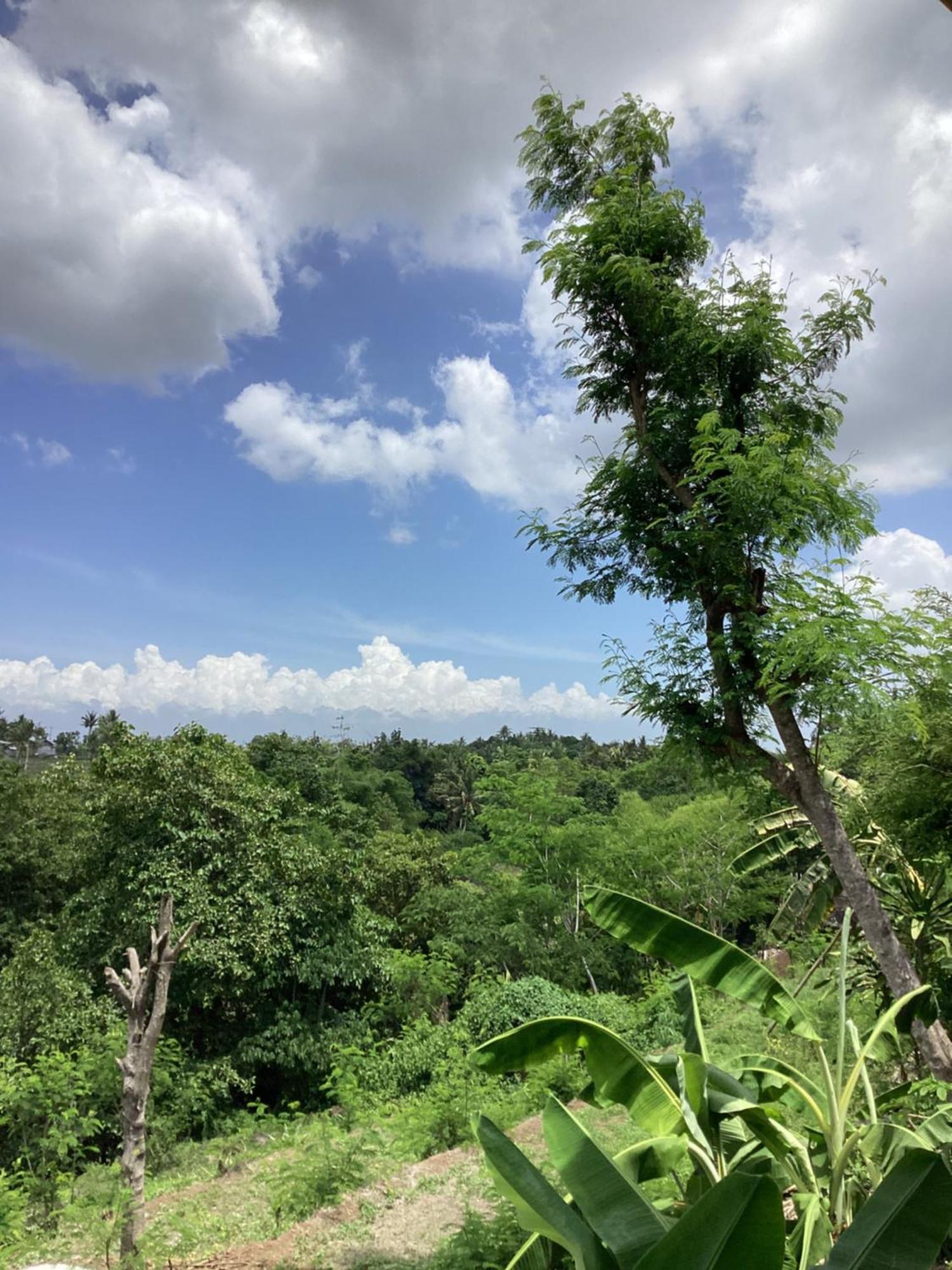 Tommy Homestay Plambi Bagian luar foto